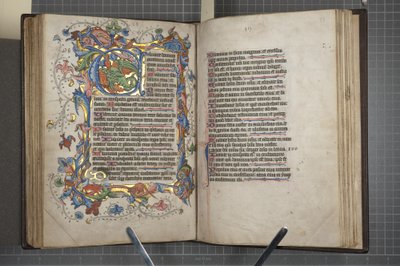 带有Sarum的诗篇使用日历，Fol 72 verso fol 73 recto，c.1425-75（牛皮纸上的墨水，颜料和金色） 作者 英语学校