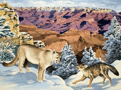 Puma和Coyote在大峡谷国家公园见面 作者 英语学校