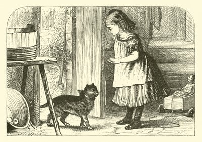猫猫，猫咪 作者 英语学校