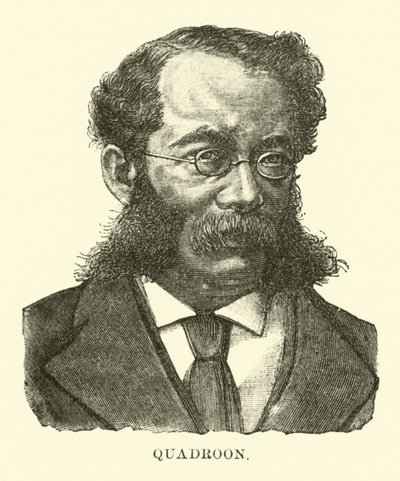 quadroon 作者 英语学校