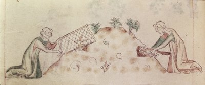 Roy 2 B VII f.155v 妇女用网和雪貂捕捉兔子，出自《玛丽王后诗篇》，约 1310-20 年（牛皮纸） 作者 英语学校