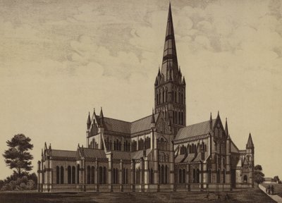 Salisbury Cathedral, from the North East (litho) 作者 英语学校