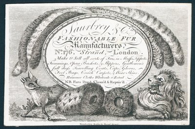 Saubry＆Co，时尚皮草制造商，贸易卡 作者 英语学校