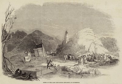Scene of the Late Gun-Cotton Explosion at Faversham (engraving) 作者 英语学校