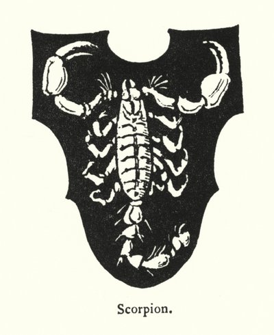 蝎子（雕刻） 作者 英语学校