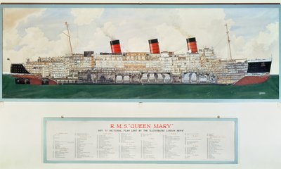 G.Havis 绘制的 R.M.S. Queen Mary 号剖面图（20 世纪平面图） 作者 英语学校