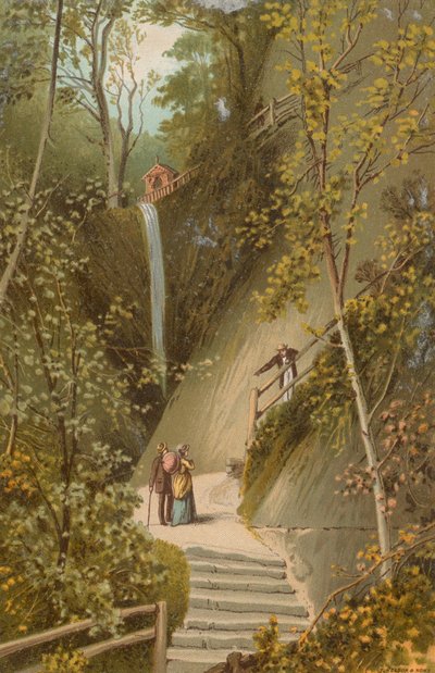 Shanklin Chine  - 怀特岛 作者 英语学校