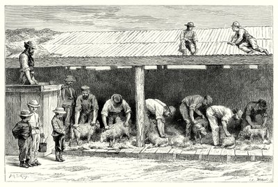 剪羊毛（雕刻） 作者 英语学校