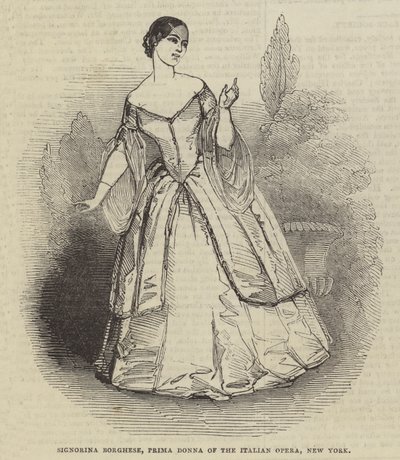 Signorina Borghese，纽约意大利歌剧院的第一位女士 作者 英语学校
