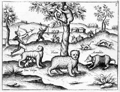Simi Vulpa，Haute和Armadilio，来自Walter Raleigh爵士的“发现圭亚那”的插图，出版于1599年 作者 英语学校