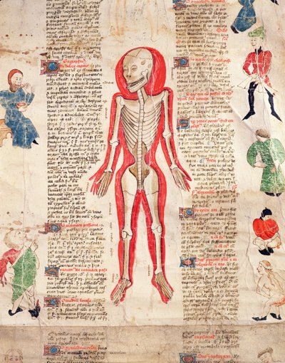 骷髅，来自De Arte phisicali e de cirugia，约翰阿登，1412年 作者 英语学校