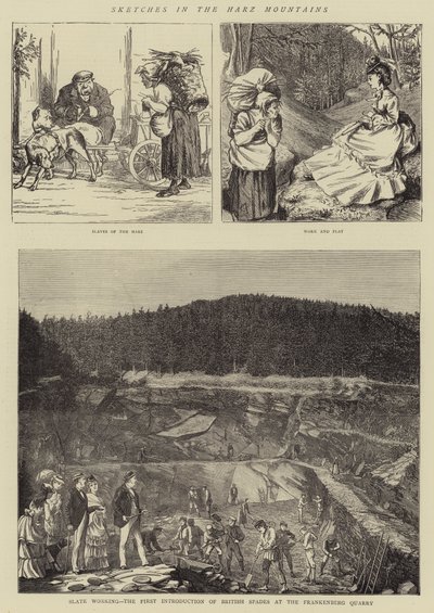 Sketches in the Harz Mountains (engraving) 作者 英语学校
