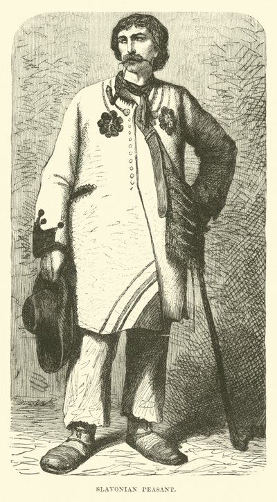 Slavonian peasant (engraving) 作者 英语学校