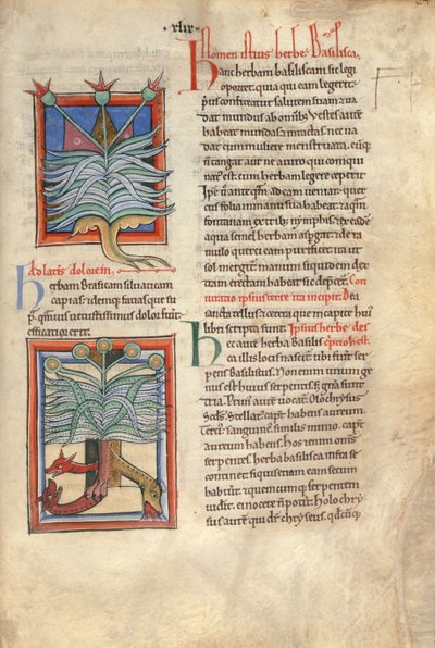 斯隆女士 1975 fol.48 《香草大教堂 作者 英语学校