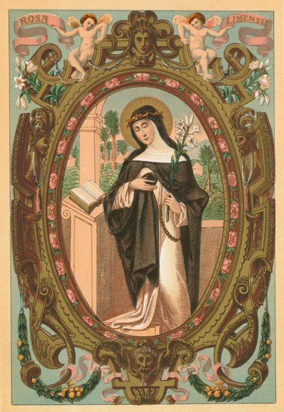 St Rosa Limensis 作者 英语学校