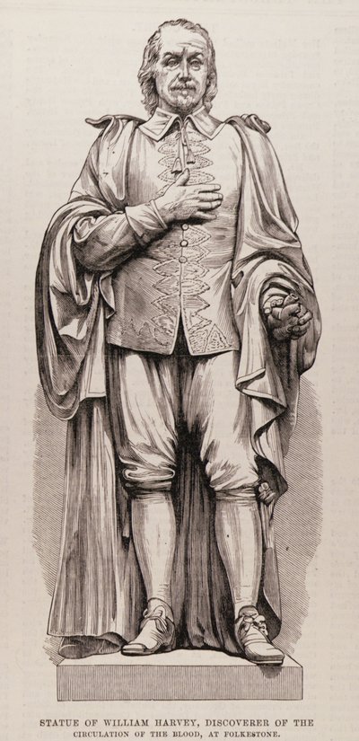 威廉·哈维（1578-1657）的雕像，血液循环的发现者，在福克斯通，来自伦敦新闻画报，1881年8月13日 作者 英语学校