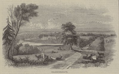 Strathfieldsaye 作者 英语学校