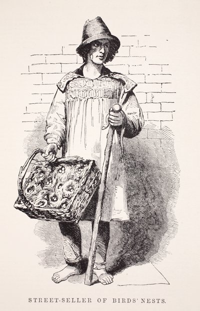 鸟巢的街头卖家，来自伦敦工党和伦敦穷人的插图由Henry Mayhew，酒吧。 1862年 作者 英语学校