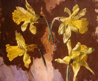 水仙花研究，约1830年（纸上油画） 作者 英语学校