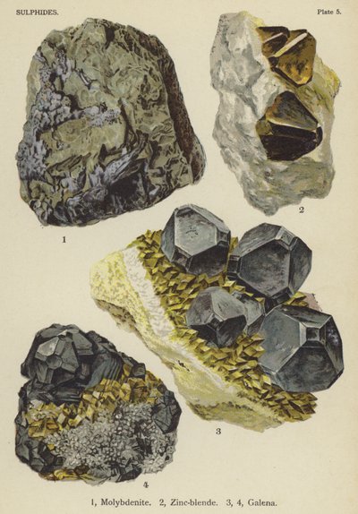 Sulphides, molybdenite, zinc-blende, galena (colour litho) 作者 英语学校