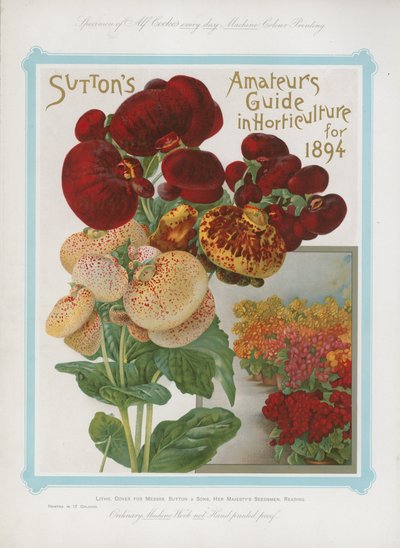 1894年Suttons业余爱好者指南 作者 英语学校