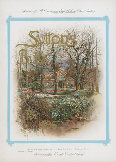 Suttons灯泡为1896年 作者 英语学校