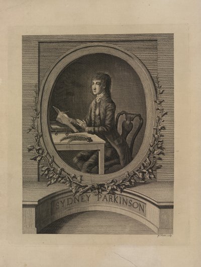 悉尼-帕金森（Sydney Parkinson），1773 年 "航海日志 "中的正面插图，"航海日志 "选自国王陛下的 "奋进号 "轮船（由詹姆斯-库克船长指挥）（雕刻）。 作者 英语学校