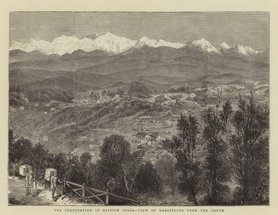 Tea Cultivation in British India, View of Darjeeling from the South (engraving) 作者 英语学校