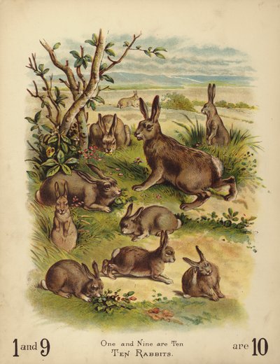 十只兔子（chromolitho） 作者 英语学校