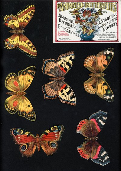 The Animated Butterflies, Amusing, Decorative and Educational, A Startling and Realistic Novelty (colour litho) 作者 英语学校