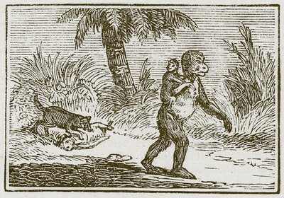 猩猩和她的两个小家伙（雕刻） 作者 英语学校