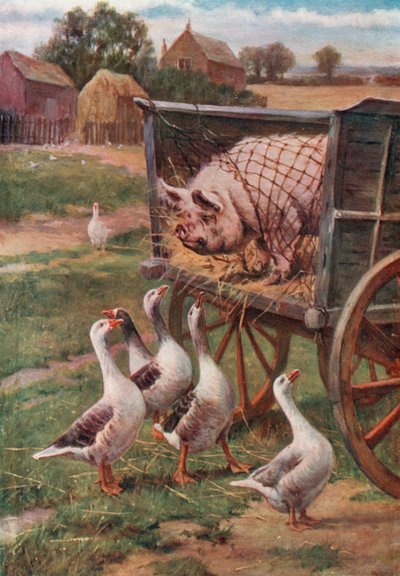 最好的朋友必须参加 作者 英语学校