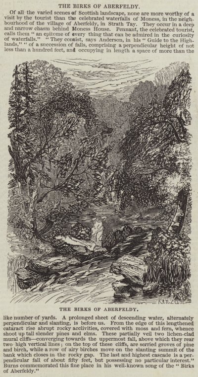 The Birks of Aberfeldy (雕刻) 作者 英语学校