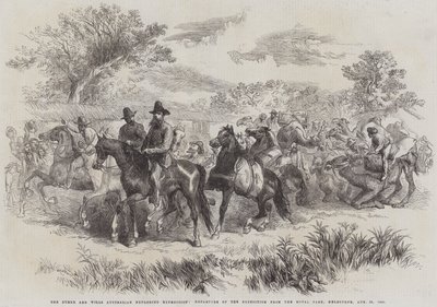 伯克和威尔斯澳大利亚探险队，从皇家公园出发，墨尔本，1860 年 8 月 20 日（雕刻） 作者 英语学校