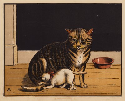 猫》（彩色印刷版） 作者 英语学校