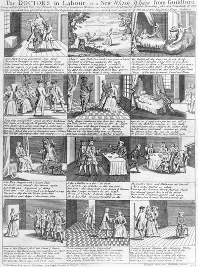 工党的医生，或1726年来自吉尔福德的新奇思 作者 英语学校