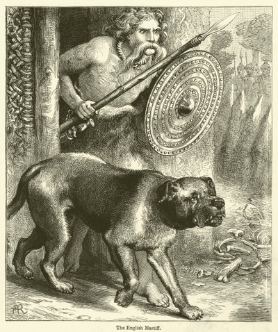 英国獒犬（雕刻） 作者 英语学校