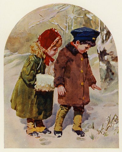 第一朵雪绒花》（彩色平版） 作者 英语学校