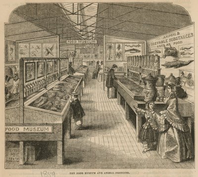 食品博物馆和动物产品，南肯辛顿博物馆 作者 英语学校
