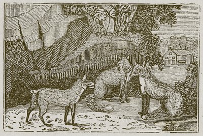 没有尾巴的狐狸（雕刻） 作者 英语学校