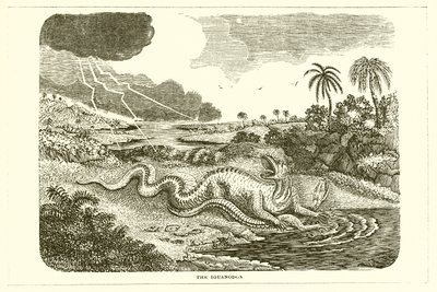 Iguanodon 作者 英语学校