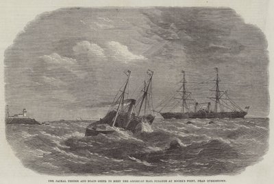Jackal Tender and Boats 将在皇后镇附近的 Roche