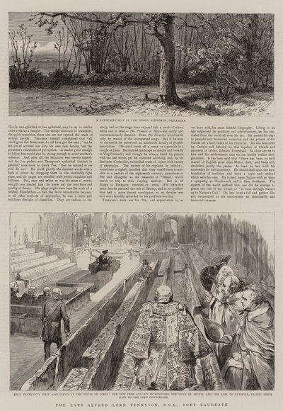 已故的阿尔弗雷德·丁尼生勋爵，DCL，桂冠诗人（版画） 作者 英语学校