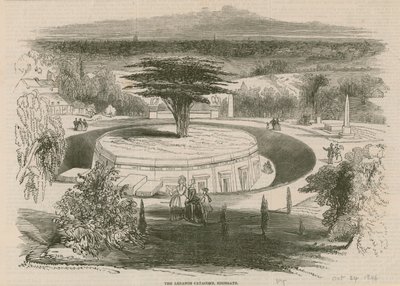 黎巴嫩Catacombe，Highgate公墓，伦敦 作者 英语学校
