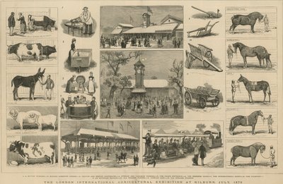 1879年7月在基尔本举行的伦敦国际农业展览会 作者 英语学校