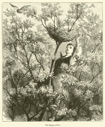 鹊巢》（雕刻） 作者 英语学校