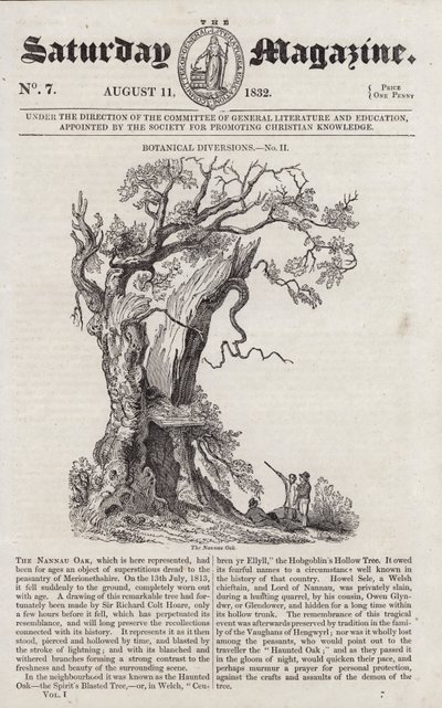 南欧橡树(雕刻) 作者 英语学校