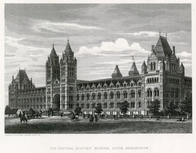 自然历史博物馆，1881年 作者 英语学校