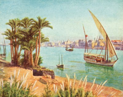 尼罗河，开罗附近的景色（彩色石版画） 作者 英语学校