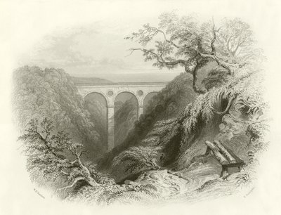 Peaths Bridge和Ravine，Berwickshire 作者 英语学校
